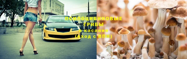 2c-b Магас