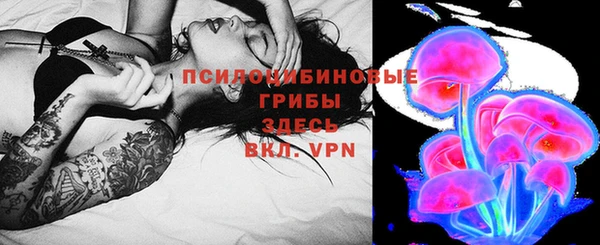 индика Майский