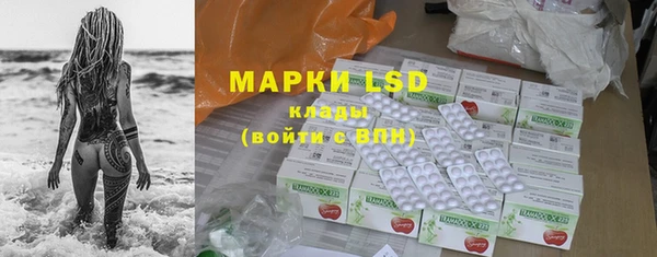 молекула духа Магадан