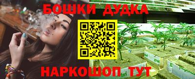 прущие крисы Будённовск