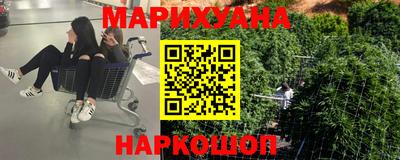 прущие крисы Будённовск