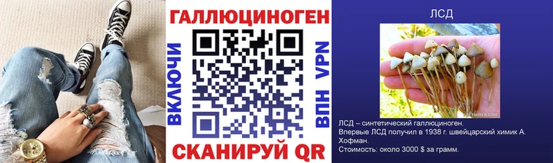 Галлюциногенные грибы прущие грибы Отрадное