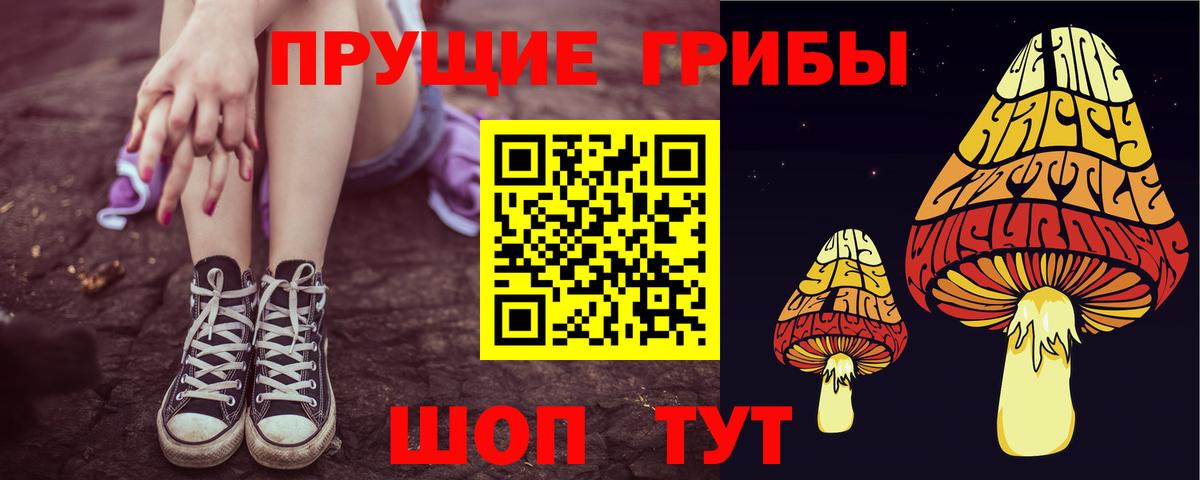 Галлюциногенные грибы Cubensis  Отрадное  Псилоцибиновые грибы ЛСД 