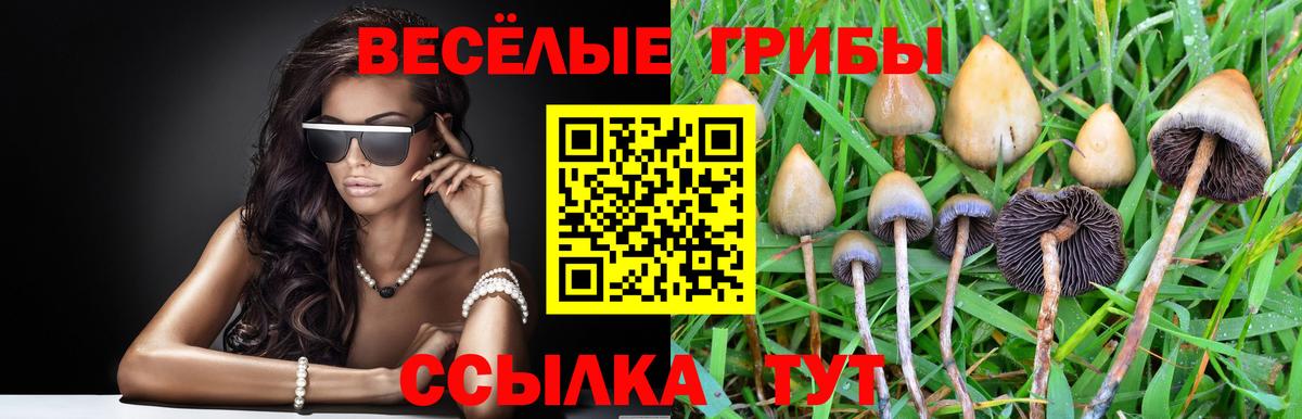 Галлюциногенные грибы прущие грибы Отрадное