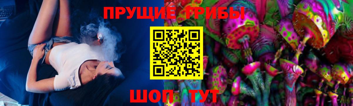 Псилоцибиновые грибы Psilocybe  Псилоцибиновые грибы MAGIC MUSHROOMS  купить наркотик  Отрадное  Вход с VPN 